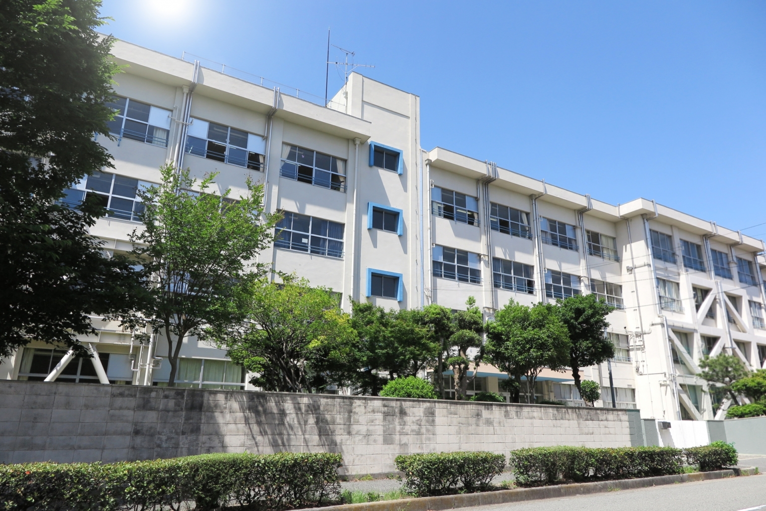 学生こども保険の取り扱いについて 株式会社イデヤ｜伊勢原市｜保険｜生命保険・損害保険・自動車保険・火災保険・傷害保険・旅行保険・死亡保険